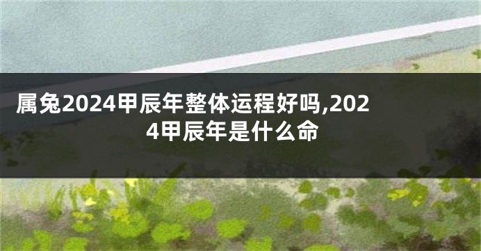 属兔2024甲辰年整体运程好吗,2024甲辰年是什么命