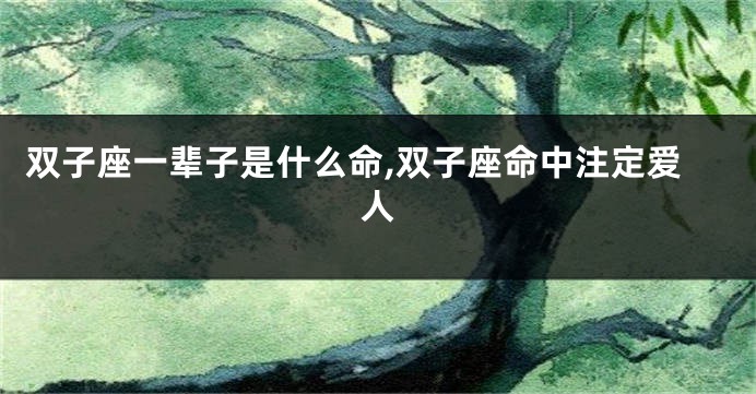 双子座一辈子是什么命,双子座命中注定爱人