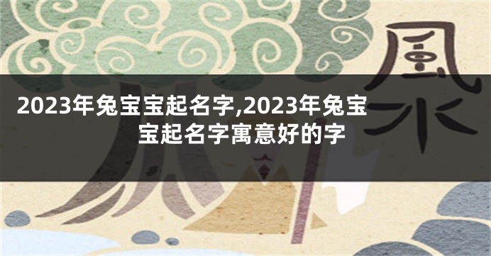 2023年兔宝宝起名字,2023年兔宝宝起名字寓意好的字