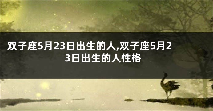 双子座5月23日出生的人,双子座5月23日出生的人性格