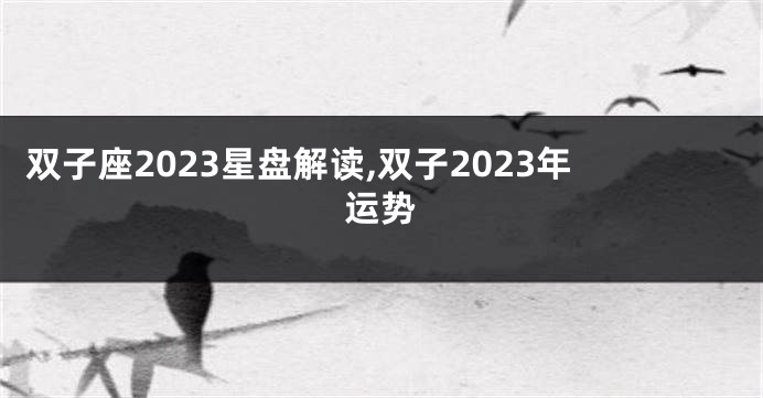 双子座2023星盘解读,双子2023年运势