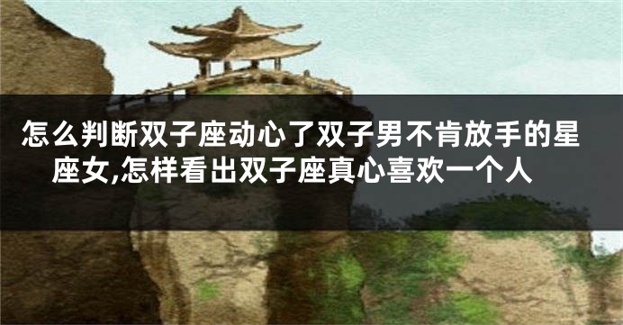 怎么判断双子座动心了双子男不肯放手的星座女,怎样看出双子座真心喜欢一个人
