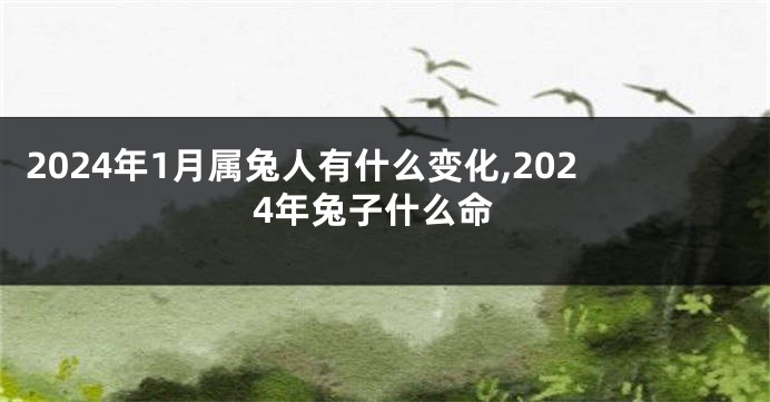 2024年1月属兔人有什么变化,2024年兔子什么命