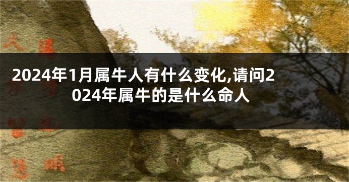 2024年1月属牛人有什么变化,请问2024年属牛的是什么命人