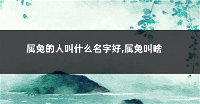 属兔的人叫什么名字好,属兔叫啥