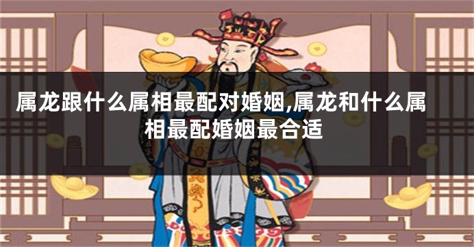 属龙跟什么属相最配对婚姻,属龙和什么属相最配婚姻最合适