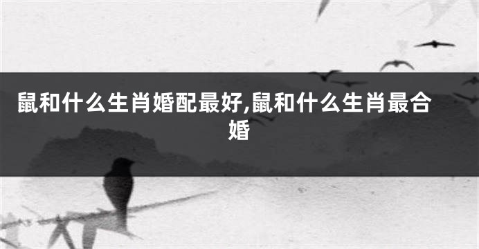 鼠和什么生肖婚配最好,鼠和什么生肖最合婚