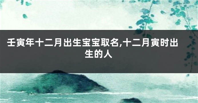 壬寅年十二月出生宝宝取名,十二月寅时出生的人