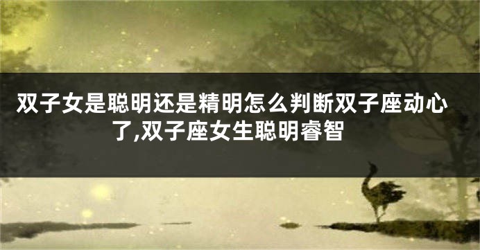 双子女是聪明还是精明怎么判断双子座动心了,双子座女生聪明睿智