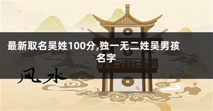 最新取名吴姓100分,独一无二姓吴男孩名字
