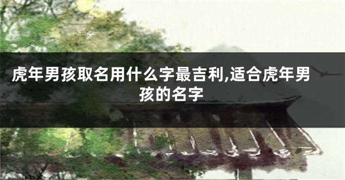 虎年男孩取名用什么字最吉利,适合虎年男孩的名字