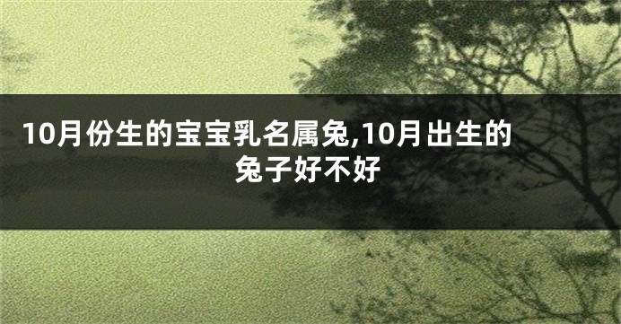 10月份生的宝宝乳名属兔,10月出生的兔子好不好