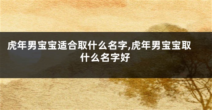 虎年男宝宝适合取什么名字,虎年男宝宝取什么名字好