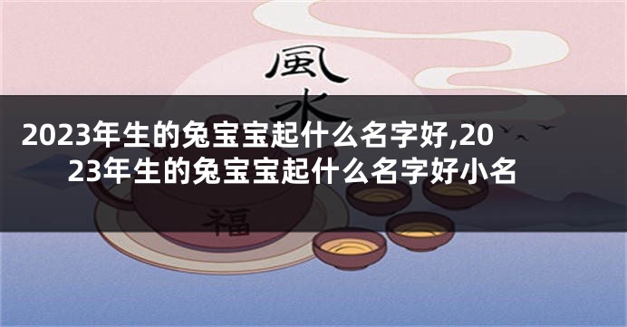 2023年生的兔宝宝起什么名字好,2023年生的兔宝宝起什么名字好小名