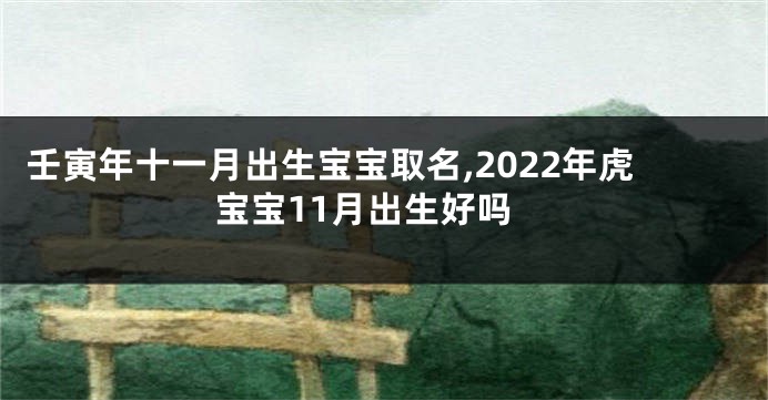 壬寅年十一月出生宝宝取名,2022年虎宝宝11月出生好吗