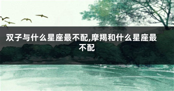 双子与什么星座最不配,摩羯和什么星座最不配