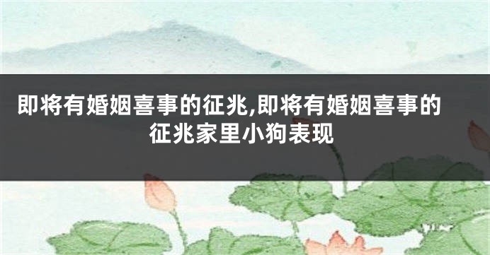 即将有婚姻喜事的征兆,即将有婚姻喜事的征兆家里小狗表现