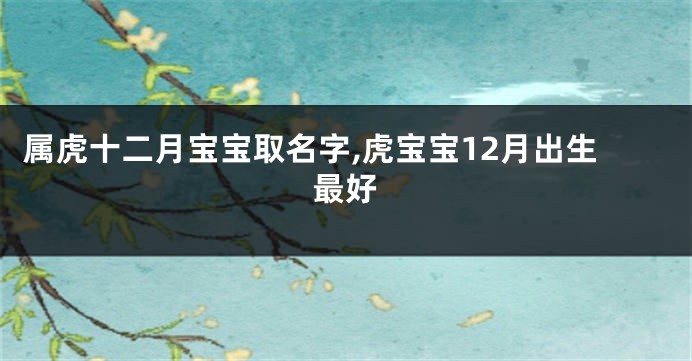 属虎十二月宝宝取名字,虎宝宝12月出生最好