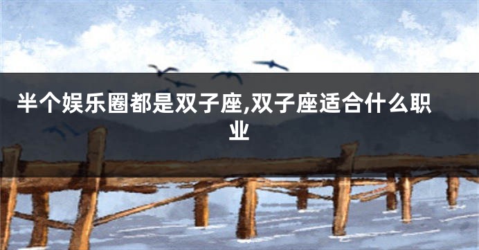 半个娱乐圈都是双子座,双子座适合什么职业