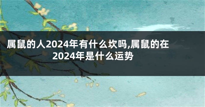 属鼠的人2024年有什么坎吗,属鼠的在2024年是什么运势