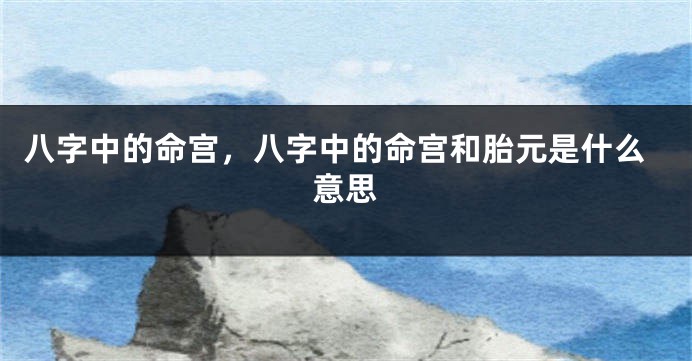 八字中的命宫,八字中的命宫和胎元是什么意思