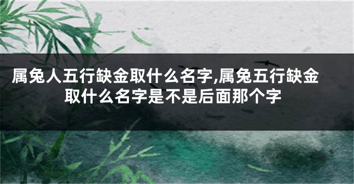属兔人五行缺金取什么名字,属兔五行缺金取什么名字是不是后面那个字