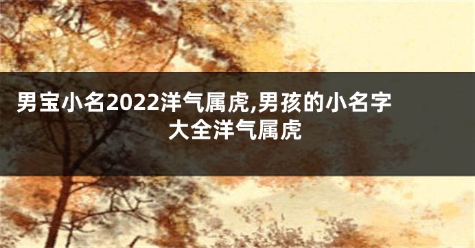 男宝小名2022洋气属虎,男孩的小名字大全洋气属虎