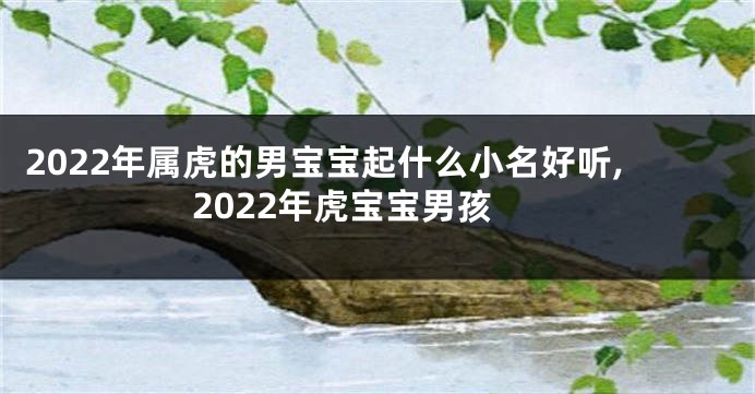 2022年属虎的男宝宝起什么小名好听,2022年虎宝宝男孩