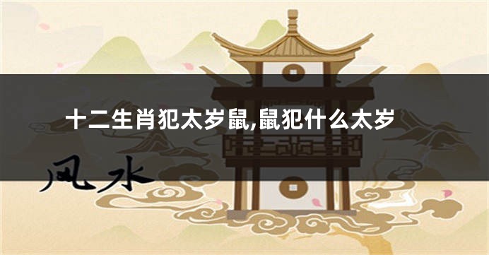 十二生肖犯太岁鼠,鼠犯什么太岁
