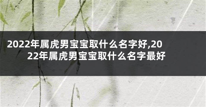 2022年属虎男宝宝取什么名字好,2022年属虎男宝宝取什么名字最好