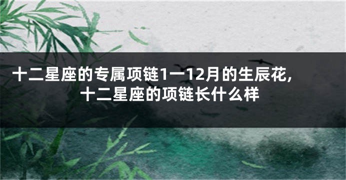 十二星座的专属项链1一12月的生辰花,十二星座的项链长什么样