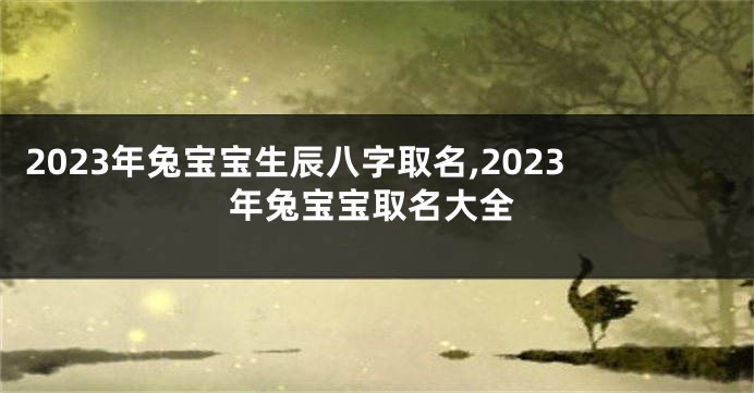 2023年兔宝宝生辰八字取名,2023年兔宝宝取名大全