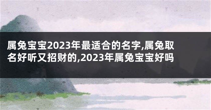 属兔宝宝2023年最适合的名字,属兔取名好听又招财的,2023年属兔宝宝好吗