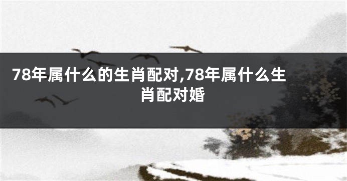 78年属什么的生肖配对,78年属什么生肖配对婚