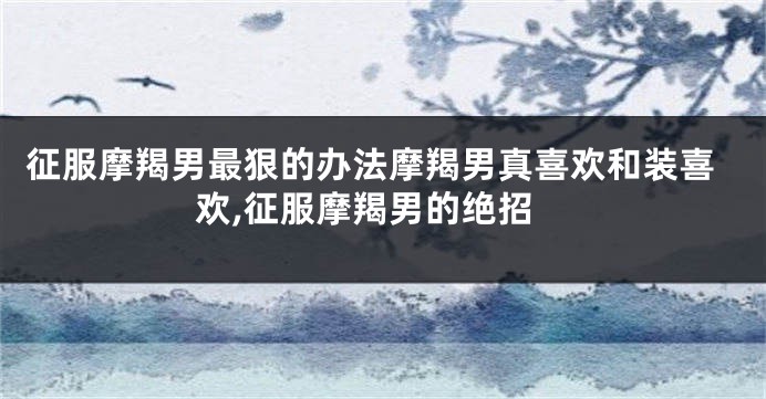 征服摩羯男最狠的办法摩羯男真喜欢和装喜欢,征服摩羯男的绝招