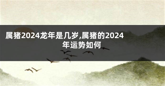 属猪2024龙年是几岁,属猪的2024年运势如何