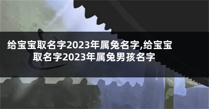 给宝宝取名字2023年属兔名字,给宝宝取名字2023年属兔男孩名字
