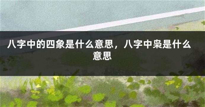 八字中的四象是什么意思,八字中枭是什么意思