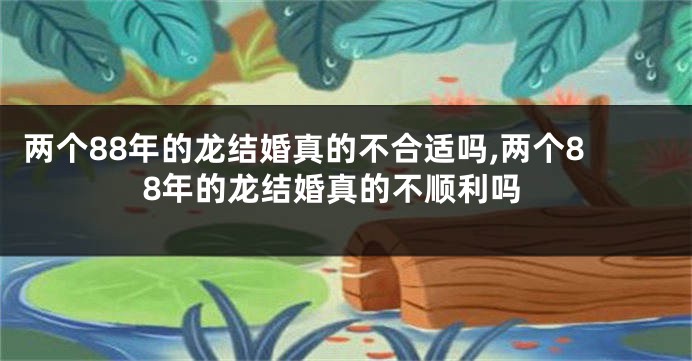 两个88年的龙结婚真的不合适吗,两个88年的龙结婚真的不顺利吗