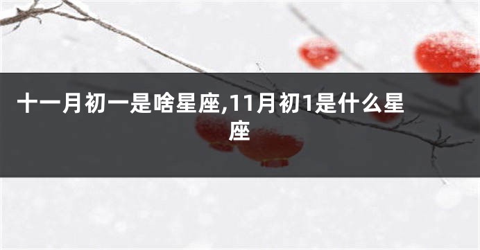 十一月初一是啥星座,11月初1是什么星座