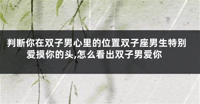 判断你在双子男心里的位置双子座男生特别爱摸你的头,怎么看出双子男爱你
