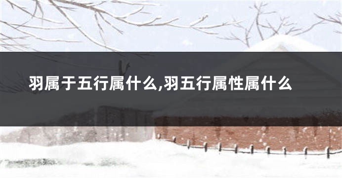 羽属于五行属什么,羽五行属性属什么