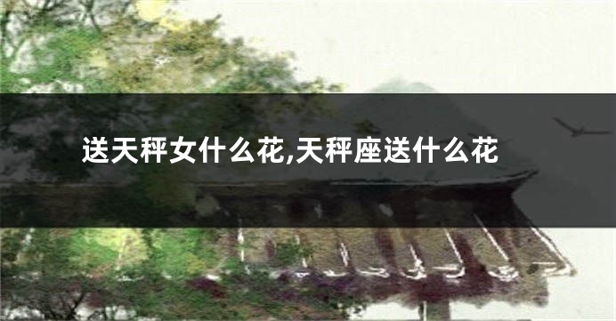 送天秤女什么花,天秤座送什么花