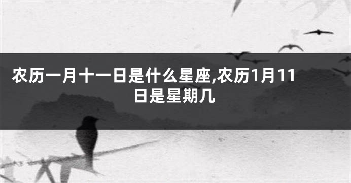 农历一月十一日是什么星座,农历1月11日是星期几