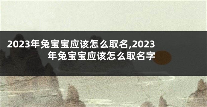 2023年兔宝宝应该怎么取名,2023年兔宝宝应该怎么取名字