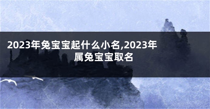 2023年兔宝宝起什么小名,2023年属兔宝宝取名