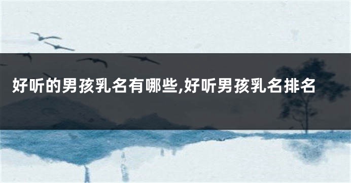 好听的男孩乳名有哪些,好听男孩乳名排名