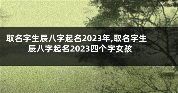 取名字生辰八字起名2023年,取名字生辰八字起名2023四个字女孩