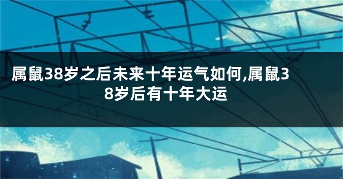 属鼠38岁之后未来十年运气如何,属鼠38岁后有十年大运