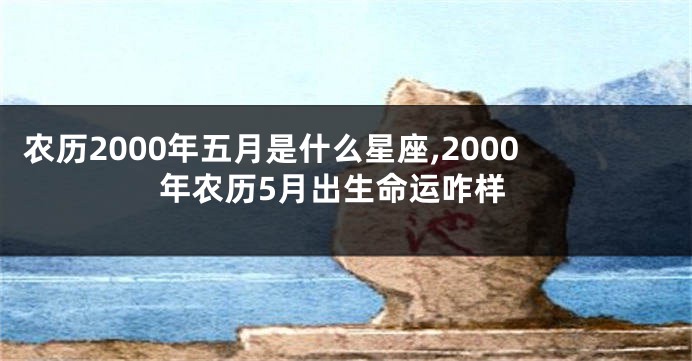 农历2000年五月是什么星座,2000年农历5月出生命运咋样
